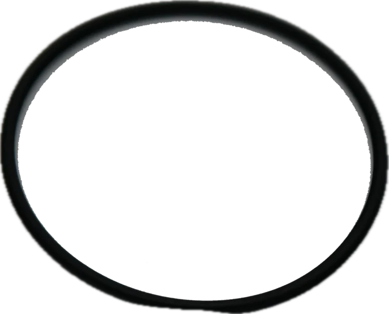 Globe Seal, L-861 Series
