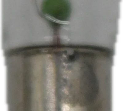 Micro Sign Lamp
