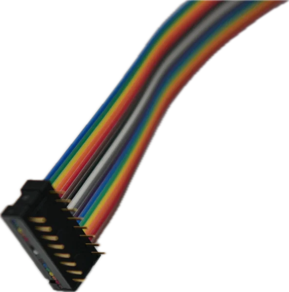 16-Pin Internal Plug with Ribbon Cable for CCR Interface Board, image 2